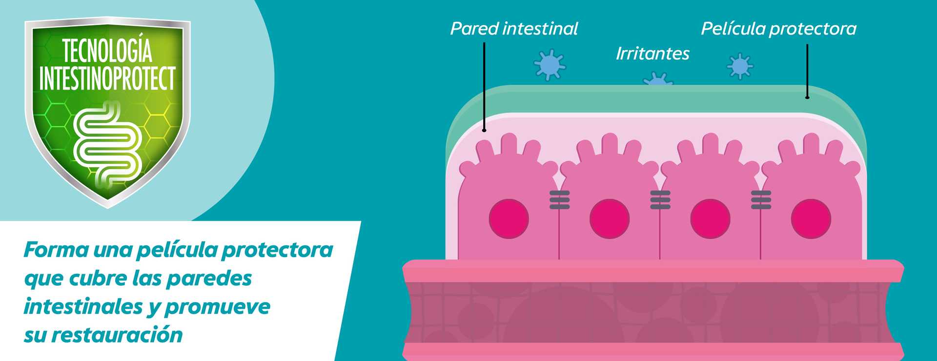 ¿Cómo funciona GAVIDigest?